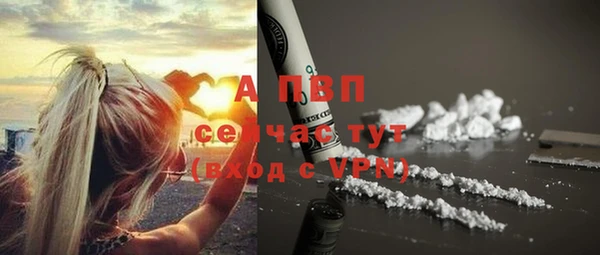тгк Туринск