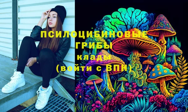 тгк Туринск