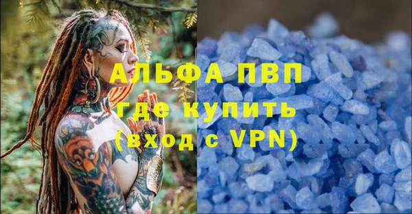 ПСИЛОЦИБИНОВЫЕ ГРИБЫ Тихвин