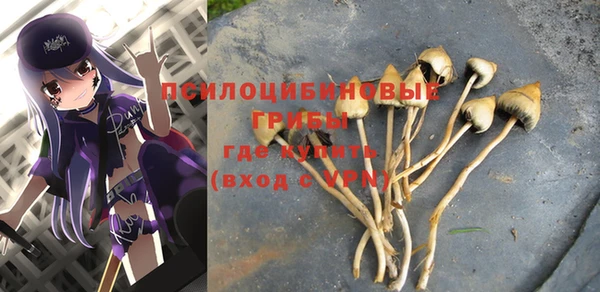 ПСИЛОЦИБИНОВЫЕ ГРИБЫ Тихвин