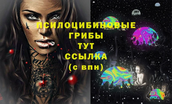 ГАЛЛЮЦИНОГЕННЫЕ ГРИБЫ Тобольск
