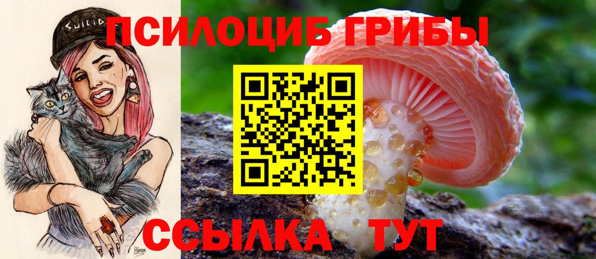 Нижневартовск  Галлюциногенные грибы GOLDEN TEACHER  наркошоп  Вход с VPN 