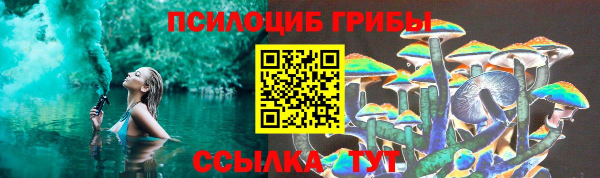 Галлюциногенные грибы Psilocybe  Нижневартовск 